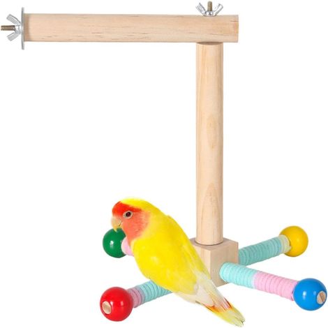 Loro giratorio de 360 grados: ejercicio interactivo con loros.