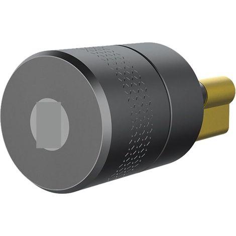 Serrure de porte intelligente Serrure De Porte Intellinte, Moteur Plus Puissant, TUYA, Serrure Intellinte À Empreintes Digitales, Serrure Électronique, Cylindre D'origine ( Color : M501 Black lock , S (1/5)