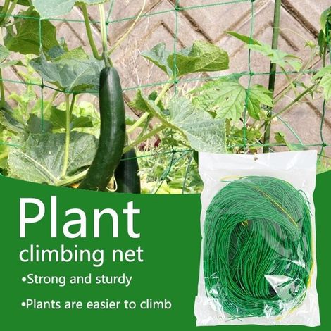 Filet d'escalade de plantes treillis de jardin filet d'escalade de fleurs pour Support de plantes vigne fleur raisins fruits 27 brins (1,8 m x 2,7 m) (1/5)