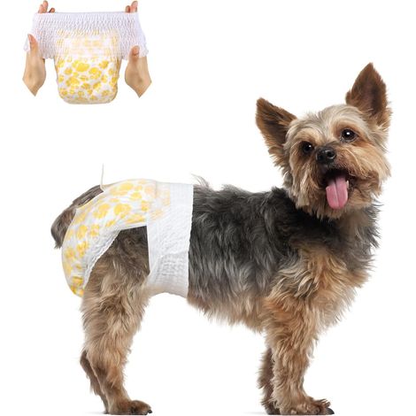 Couches jetables à traîner pour Chiens Femelles - Couches pour Chiens mâles avec Ceinture Extensible (Paquet de 15) - Convient à la Taille 26-46 cm Chiot Petit (1/5)