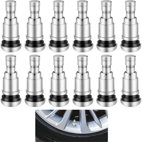 12 pezzi Valvole per auto in acciaio argentato, valvole metalliche universali, guarnizione rinforzata, per la maggior parte di auto, camion, motociclette, biciclette (argento, 42x17 mm) (1/5)