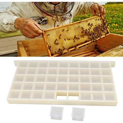 Königinnenkäfige, Königinnenaufbewahrungsbehälter aus Kunststoff, Königinnenhaltevorrichtungen, Königinnenaufbewahrungsboxen, Königinnenkontrollkäfige und Imkereiausrüstung. (1/5)