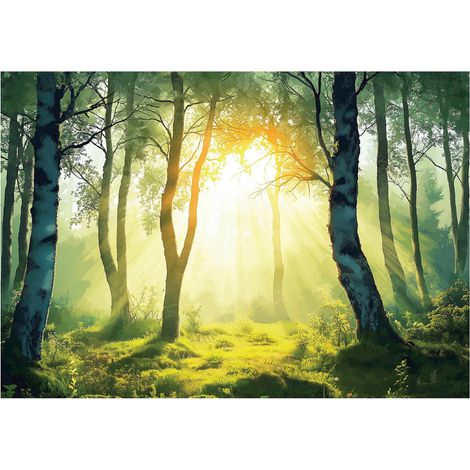 Papier peint mural forêt 3D arbres nature soleil intissé grand format design intérieur salon chambre pas cher 300x210 cm (1/5)