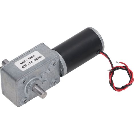 Moteur Réducteur 24V DC Double Arbre Autobloquant Réversible 20 Tours par Minute (1/5)
