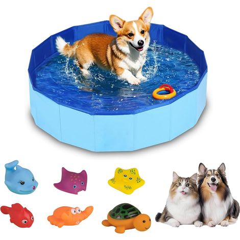 Piscine pour Chien, Piscines Pliables pour Chiens, Bleu PVC Pliable Dur Portable pour Chiens, Jeux d'eau Et Rangement, pour Chiens Et Chats (50 X 10 Cm) (1/5)