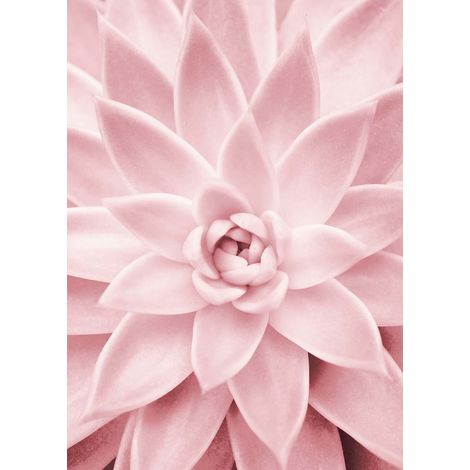 Tableau fleur rose idéal chambre adulte | Tableau rose chambre de fille | Tableau sur toile moderne fleuri idéal couloir & bureau - 0,5 x 0,7 m (1/2)