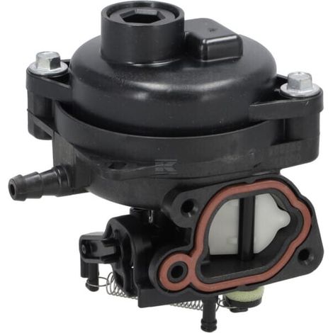 Carburatore BRIGGS & STRATTON 84001033 (1/3)