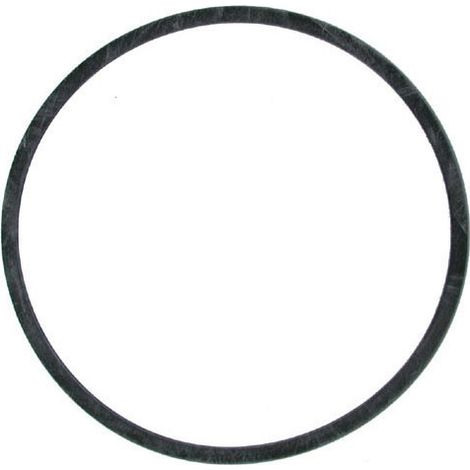Joint cuve carburateur pour moteur Tecumseh USA – Cuve grise – Diamètre 52.4 mm – Épaisseur 3 mm – Réf kit pointeau 0153-12263