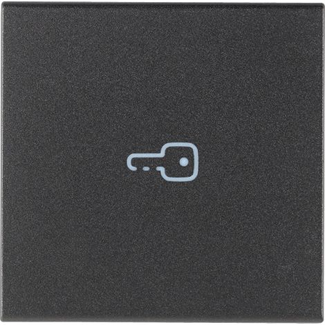 Tasto 2M Simbolo Chiave Assiale Grigio VIMAR 19132.P