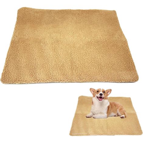 Coussin Auto-Chauffant pour Chat (1/5)
