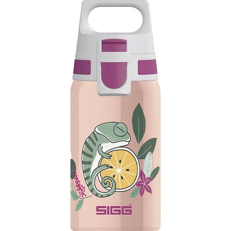 Flasche Shield ONE Flora, 500 ml