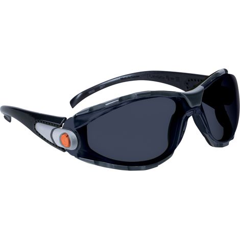 lunettes polycarbonate pacaya fumé - delta plus