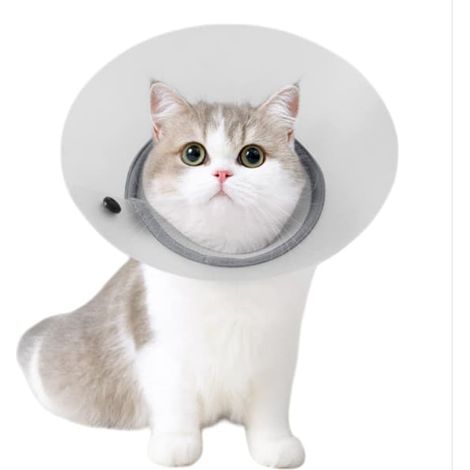 Collier de convalescence amovible et respirant pour animaux de compagnie - Protection anti-morsure et anti-griffure après une intervention chirurgicale Gris L (1/3)