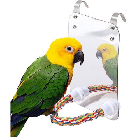 Bird Mirror Toy with Rope, Parrot Hanging Toy, Large Mirror Chew Toy for Parrots and Parakeets YMYNY (1/4)
