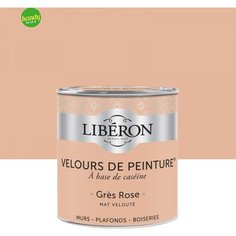 Pittura da interni Liberon 125ml Rosa Arenaria