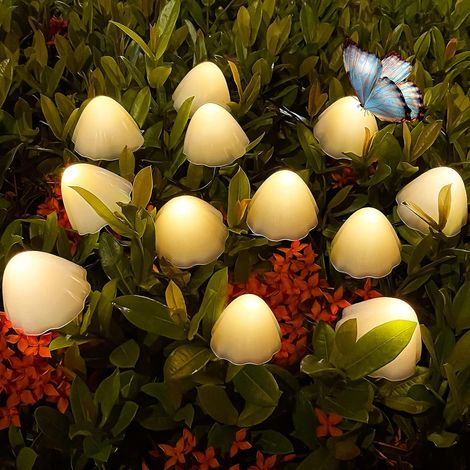Guirlande lumineuse LED extérieure de 30 mini lampes champignon étanches-AquaForge
