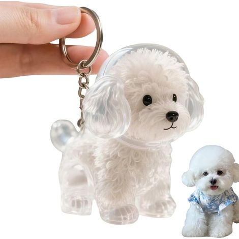Caja de almacenamiento conmemorativa con llavero de pelo de perro, botella conmemorativa de pelo de mascota con forma de perro, cápsula de recolección de pelo de mascota DIY, recuerdo de cremación de 