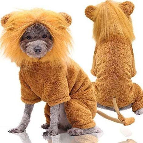 Vêtements pour chien (Golden Retriever Lion M)