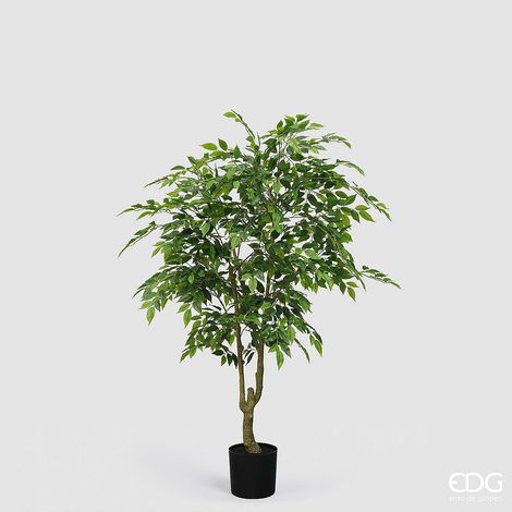 EDG Enzo De Gasperi Ficus Beniamino Vogue con Vaso Pianta Artificiale H 156 Cm Verde
