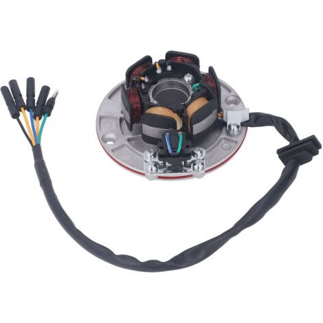 Allumage Magnéto Stator Volant Stator Bobine Puissant 114mm Diamètre de la Plaque pour YX 150cc 160cc Dirt Pit Bike