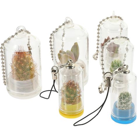 6 Stück Miniatur Glas Pflanzgefäß mit Klarer Gestaltung und (1/5)