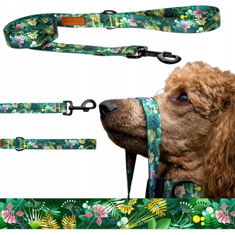 Correa de entrenamiento para perro mediano de hasta 20 kg y 180 cm, Ukory GREEN con estampado. (1/5)