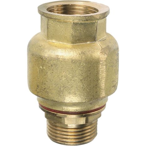 Meister Cornat Rückschlagventil Durchgang 25,4 mm (1) Pumpen-Zubehör
