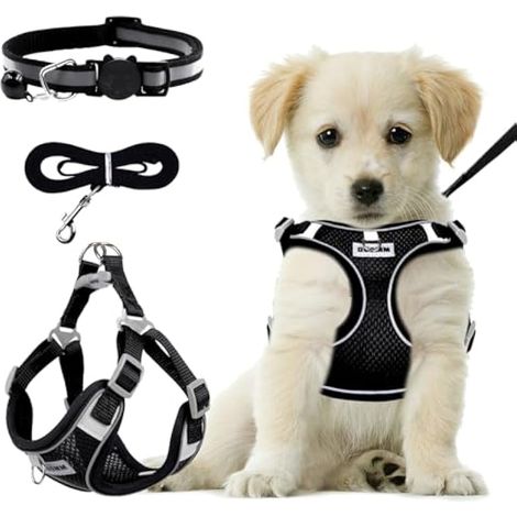 Harnais Chien avec Laisse Chien, Harnais Anti Traction pour Chiens de Petite et Moyenne Taille - Respirant - Lumineux -Taille Réglable - Harnais de sécurité pour Chien - Taille M (1/5)
