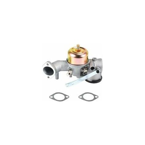 Carburetor Avec Joint Pour 491031 490499 491026 281707 Moteur 12Hp (1/5)