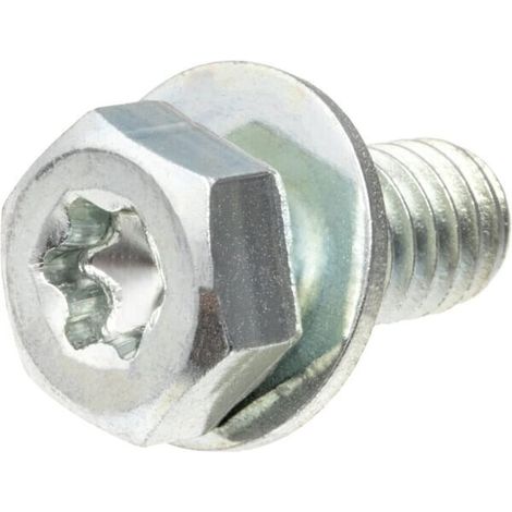Vite BRIGGS ET STRATTON 791680