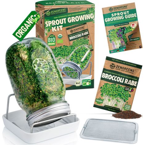 Kit germinador de semillas con tarro 1 L soporte y semillas eco