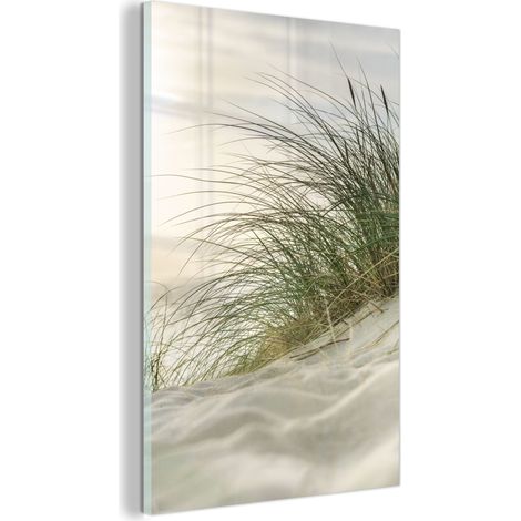 TABLEAU EN PLEXIGLAS Dunes avec herbes de plage sous le soleil du parc national allemand Schleswig-Holsteinisches Wattenmeer. Décoration Chambre 40x60 (1/5)