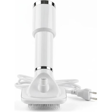 Sèche-cheveux 2 en 1 pour l'entretien du pelage, brosse à air chaud portative pour chiens et chats (1/3)