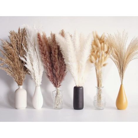 Bouquet d'herbes de pampa séchées 110 pièces – Fleurs de queues de lapin, herbes brunes et blanches – Décoration boho pour mariage et maison - 110pc (1/5)