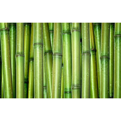 Affiche deco tige de bambous - 60x40cm - made in France (1/5)
