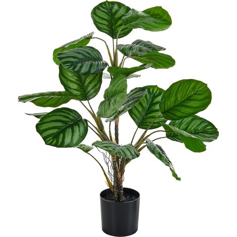 Kunstpflanze CALATHEA 78 cm Grün (1/5)
