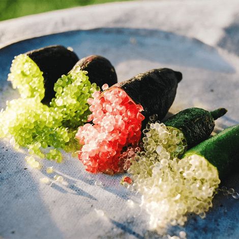 PIANTA DI FINGER LIME / LIMONE CAVIALE innesto basso in vaso 20 (foto reali)