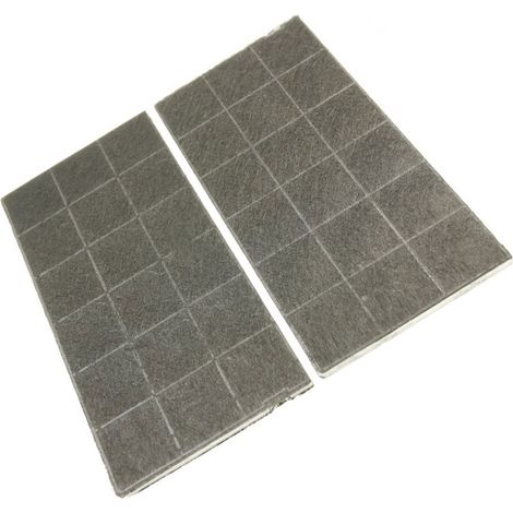 Ersatzteil - Lot de 2 filtres charbon  289X -  - DE DIETRICH, AEG, KITCHENAID, WHIRLPOOL, BAUKNECHT, IKEA