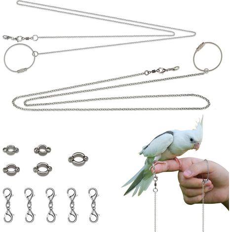 Harnais Laisse pour Oiseau Perroquet avec Anneaux de Pieds Réglables Anti-Fuite (1/5)