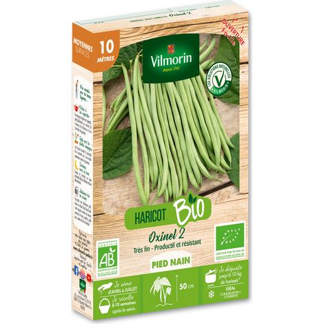 Haricot Nain Vert Oxinel 2 - 10 m - BIO Vilmorin