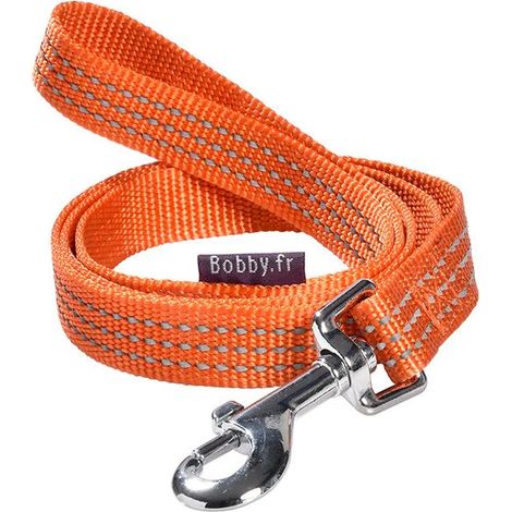 Guinzaglio aglio Safe Grigio X: Guinzaglio aglio Safe