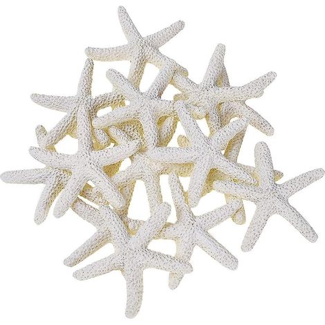 15 étoiles de mer beiges en forme de crayon, pour mariage, décoration intérieure et loisirs créatifs, 7-10 cm (1/5)