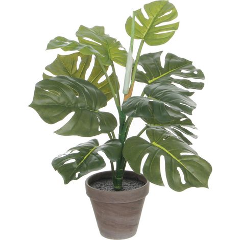 Mica Decorations Plante artificielle Vert H48xl39xL39cm (1/5)