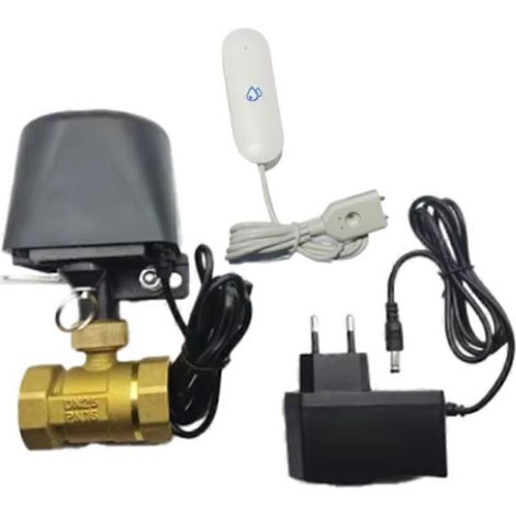 Valve d'arrêt d'eau intelligente Tuya WiFi avec détecteur de fuite, télécommande et minuterie pour Alexa (prise UE) (1/5)