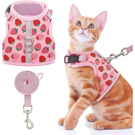 (2 Pices Rose Fraise) Harnais Pour Chat Avec Laisse - Harnais En Maille Rglable Lgant Pour Chatons, Chiots Et Petits Animaux (1/5)