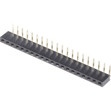 BKL Electronic Buchsenleiste (Standard) Anzahl Reihen: 1 Polzahl je Reihe: 36 10120806 1 St.