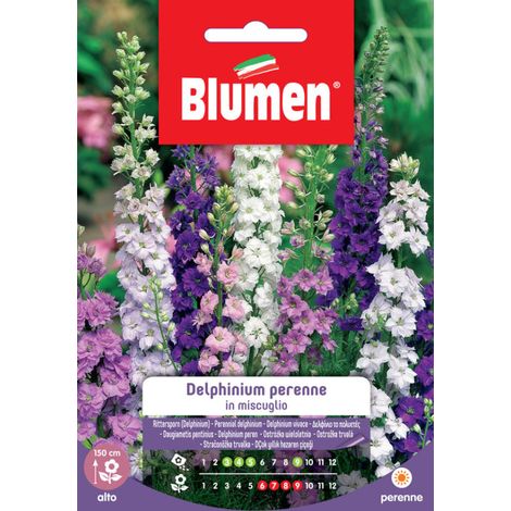Semi Blumen delphinium perenne