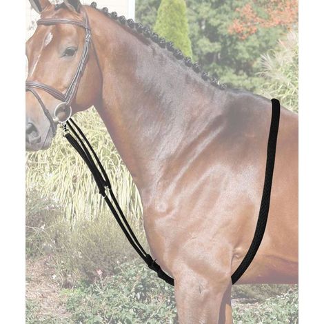 Pony, ROSSO /ROYAL BLU: Supporto per longia in corda intrecciata con moschettoni in metallo (1/3)