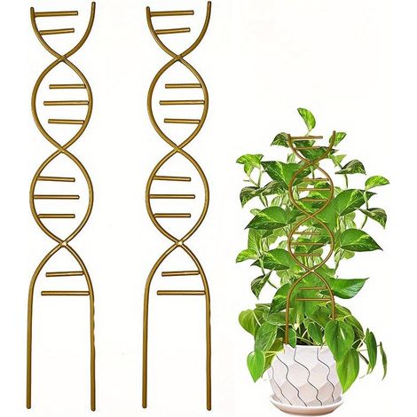 2 supports métalliques pour plantes grimpantes en pot, notamment le lierre - Petit support de jardin pour plantes en pot (1/5)