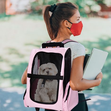 Zaino trasportino o trolley da viaggio 2 in 1 PawHut per cani e gatti con 2 ruote, maniglia retrattile in alluminio e tasche, 42x25x55 cm, rosa